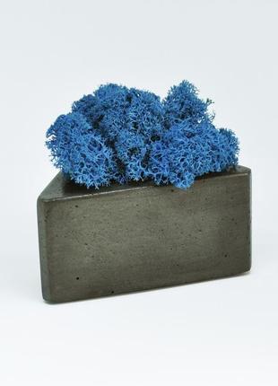 Трикутний маленький горщик з бетону і скандинавський синій мох1 фото
