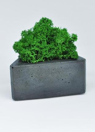 Треугольный бетонный горшок и зеленый мох