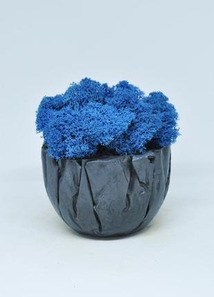 Скандинавский синий мох и бетонная чаша1 фото