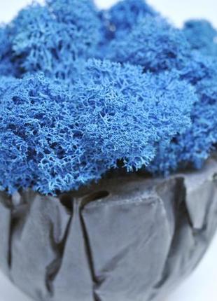 Скандинавский синий мох и бетонная чаша2 фото
