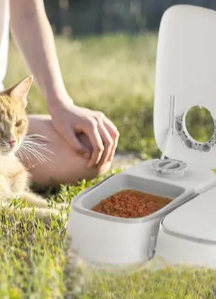 Автоматична годівниця 600 мл, з таймером, для кішок і собак. розумний дозатор їжі для домашніх тварин.3 фото