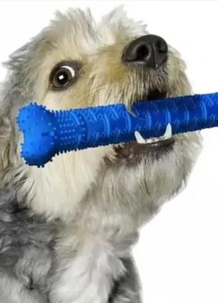 Зубна щітка іграшка-кість для чищення зубів у собак chewbrush. кісточка зубна щітка для чищення зубів1 фото