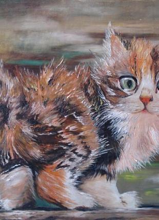 Картина маслом "рыжый кіт"40*35. сучасний живопис.авторський живопис.1 фото
