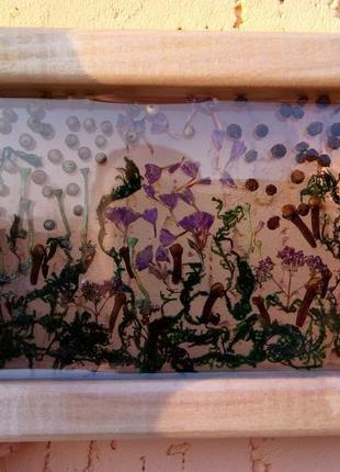 Картина з натуральних рослин в прозорій епоксидній смолі8 фото