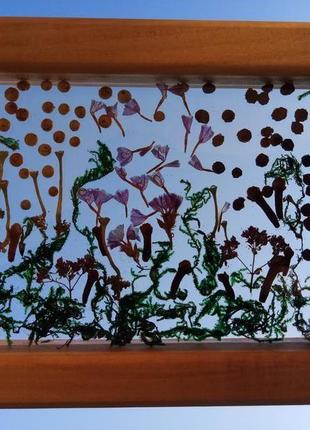 Картина з натуральних рослин в прозорій епоксидній смолі3 фото