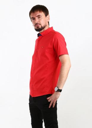 Рубашка красный (saa-1709-red)2 фото