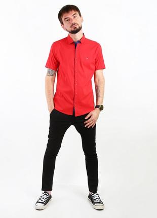 Рубашка красный (saa-1709-red)4 фото