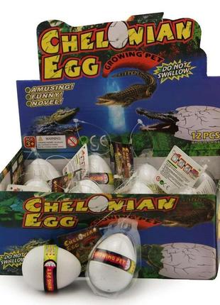 Растущие яйца большие (белые)