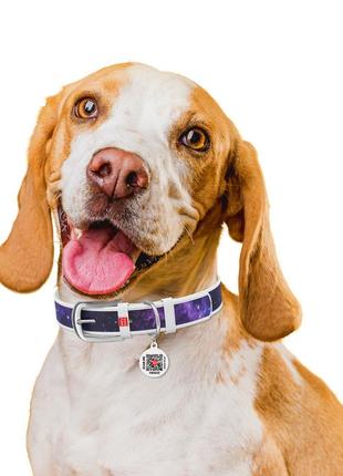 Ошейник для собак кожаный waudog design с qr паспортом, рисунок "nasa21", xl, ш 35 мм, дл 46-59 см, белый4 фото