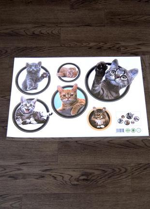 Інтер'єрна наклейка cd кошенята в рамці xh6229 60х40см4 фото