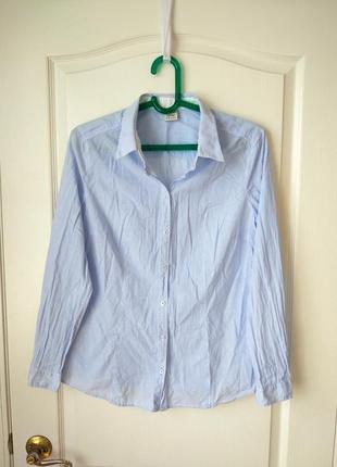 Базова сорочка в дрібну смужку легка бавовняна тканина