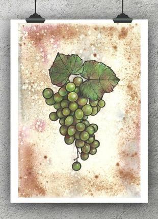 Виноградная гроздь. рисунок,  2021г автор - мишарева наталья5 фото