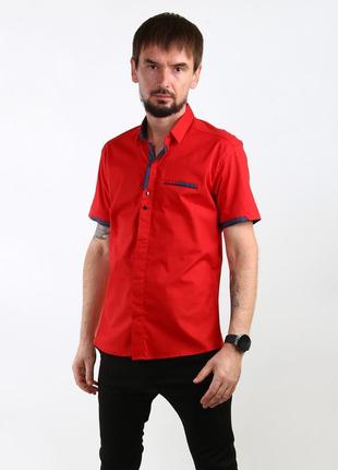 Рубашка gold milano красный (saa-0262-k-red)