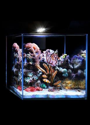 Светодиодный светильник aqualighter nano marine (для морского аквариума до 20л), 12000к, 380 люм5 фото