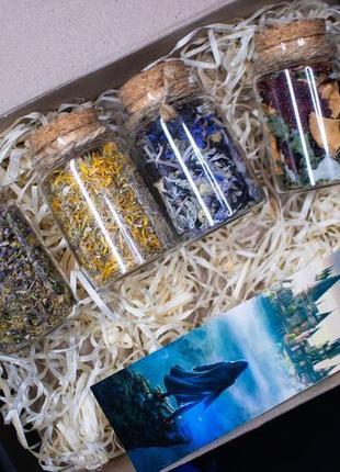 Набір магічного чаю чар-зілля гаррі поттер