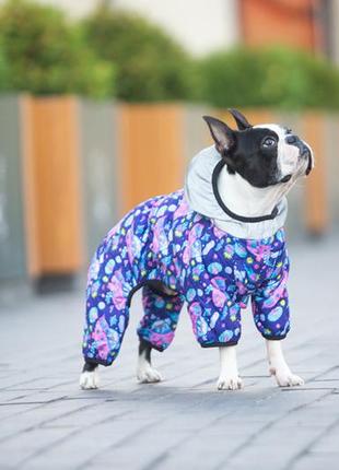 Комбинезон для собак waudog clothes, рисунок "рик и морти 1", m45, в 57-60 см, с 41-44 см5 фото