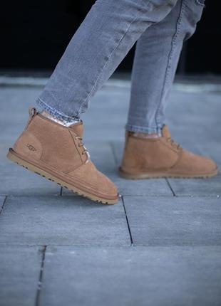 Мужские бежевые угги ugg neumel beige