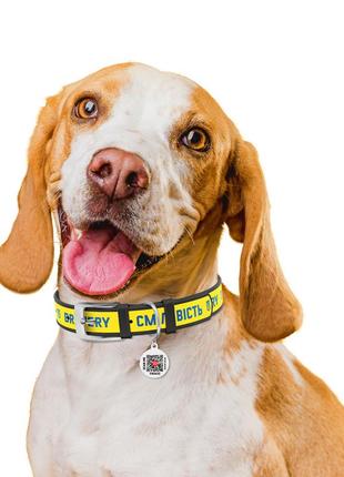 Ошейник для собак кожаный waudog design с qr паспортом, рисунок "смелость", l, ш 25 мм, дл 38-49 см черный4 фото