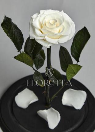 Троянда в колбі біла2 фото