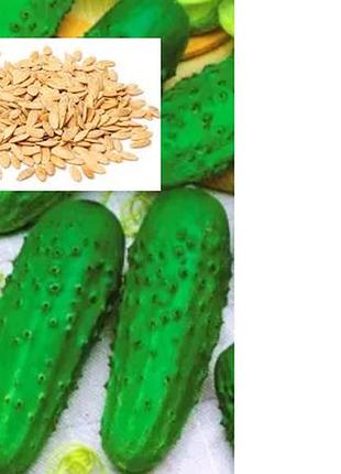 Насіння огірків бджолозапильних гейм