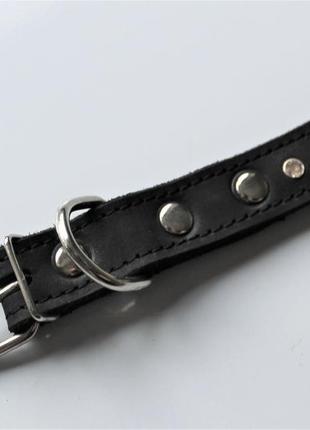 Ошейник для небольших собак m(30-44 см) lockdog черный (2000002397779)3 фото