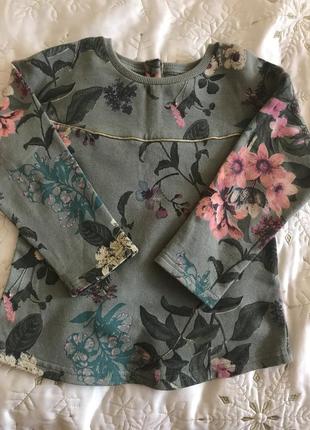 Світшот, реглан, светр next