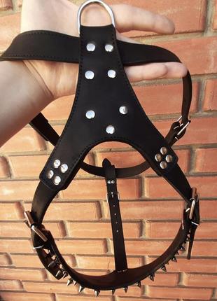 Шлейка воротник с шипами xl(56-70 см) lockdog черный (2000002718550)3 фото