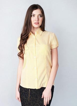 Блуза меґґі. жовтий (nls-2215-5-yellow)