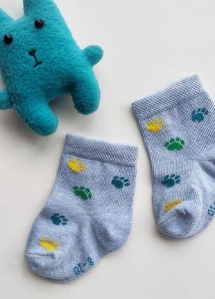 Дитячі шкарпетки для малюків. розмір 8-10 (12-17)1 фото