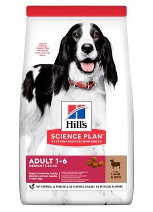 Hills sp adult medium для дорослих собак середніх порід з ягням та рисом — 2,5 кг