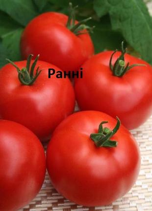 Насіння томатів ранній 83, фото 2 насіння томатів ранній