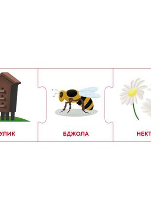 Логічні ланцюжки "світ тварин. хто де живе і що їсть" 1782002 українською мовою5 фото