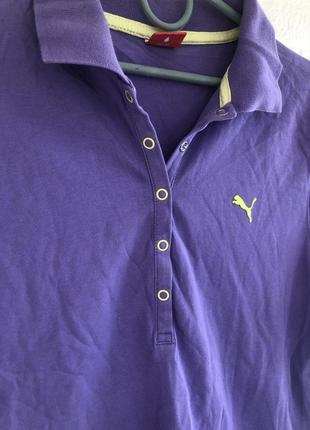 Polo puma