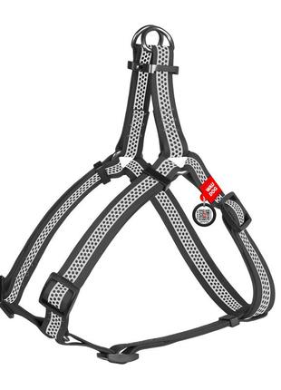 Шлея для собак водостойкая waudog waterproof с qr-паспортом,светоотражающая, металлическая пряжка-фастекс, l, ш 25 мм, дл 60-90 см