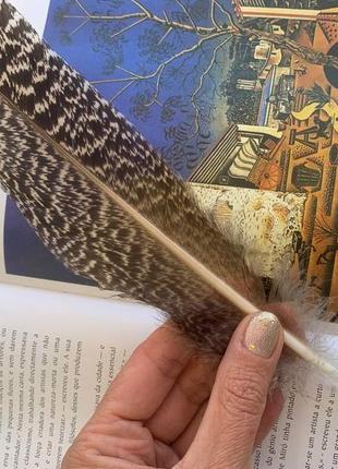 Закладка для книг - перо павлина с тигровым глазом ′павлинье перо′1 фото