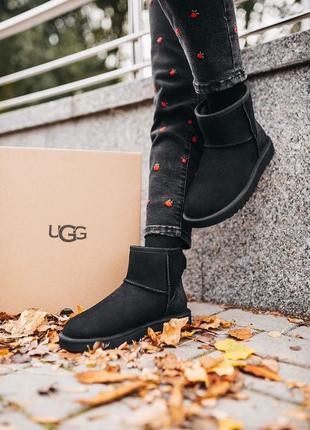 Ugg classic mini “black” 🆕 шикарные замшевые женские угги 🆕 купить наложенный платёж4 фото