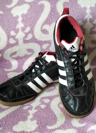 Кросівки бігові 40 р.  adidas