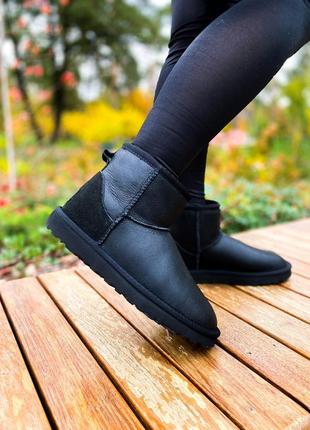 Сапоги женские ugg уги