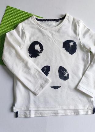 Реглан логслив на флисе next