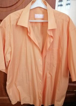 Сорочка чоловіча