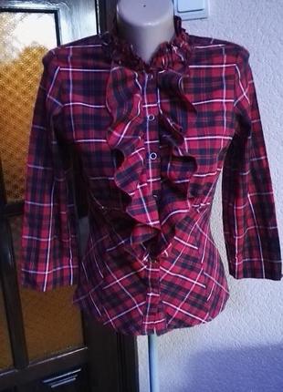 Очень красивая женская блуза 100% хлопок,размер евро 8(36) 40-42 размер от papaya