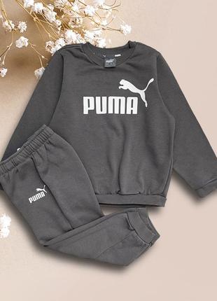 Теплий костюм puma (оригінал)