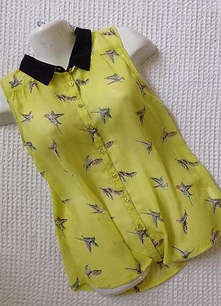 Блузка в принт птиці laura scott