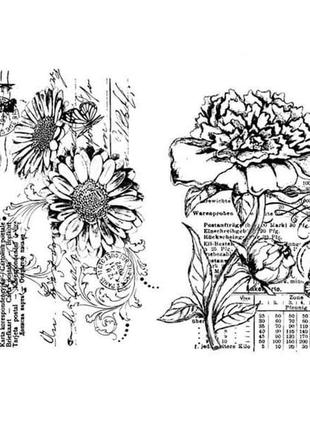 Набір силіконових штампів гербера і півонія 14x18 см viva1 фото