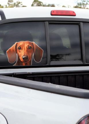 Наклейка цветная виниловая самоклеящаяся декоративная на автомобиль "такса" из оракала2 фото