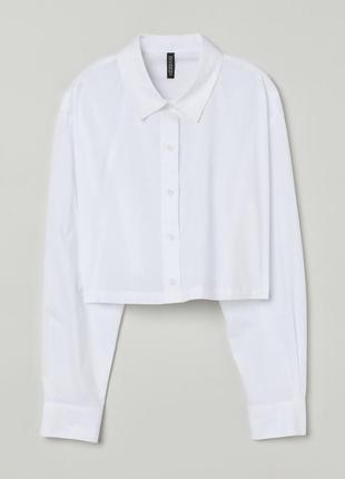 Рубашка белая кроп укороченная h&amp;m4 фото
