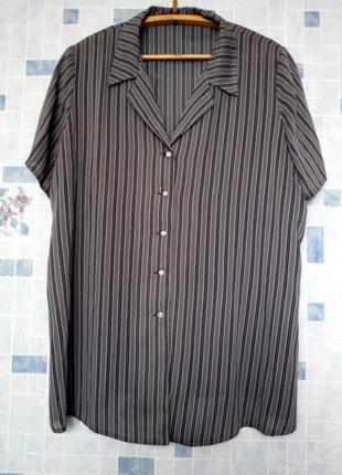 Блуза, великий розмір