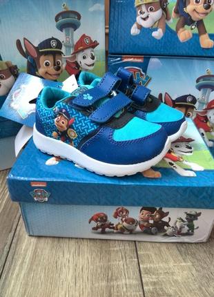 Кроссовки paw patrol (щенячий патруль) nickelodion1 фото