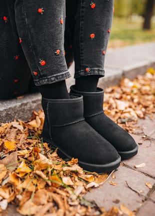 Теплые угги низкие ugg classic mini