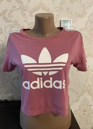 Топ adidas1 фото